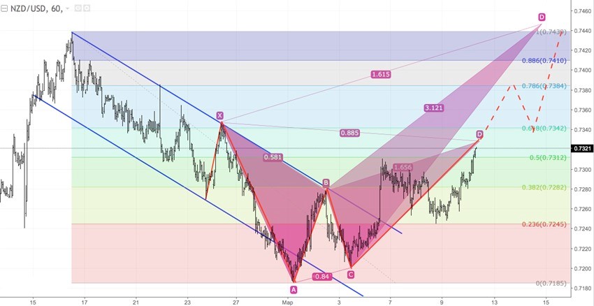 NZD2.jpg